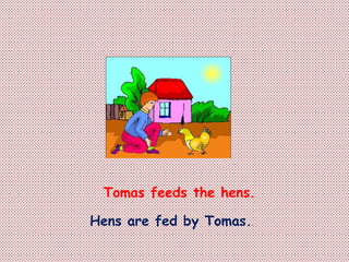 Tomas feeds the hens.
Hens are fed by Tomas..
