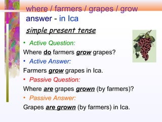 where / farmers / grapes / grow
answer - in Ica
simple present tense
• Active Question:
Where do farmers grow grapes?
• Active Answer:
Farmers grow grapes in Ica.
• Passive Question:
Where are grapes grown (by farmers)?
• Passive Answer:
Grapes are grown (by farmers) in Ica.
 