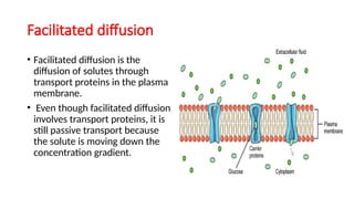 passive and active transport across the membrane pptx.pptx