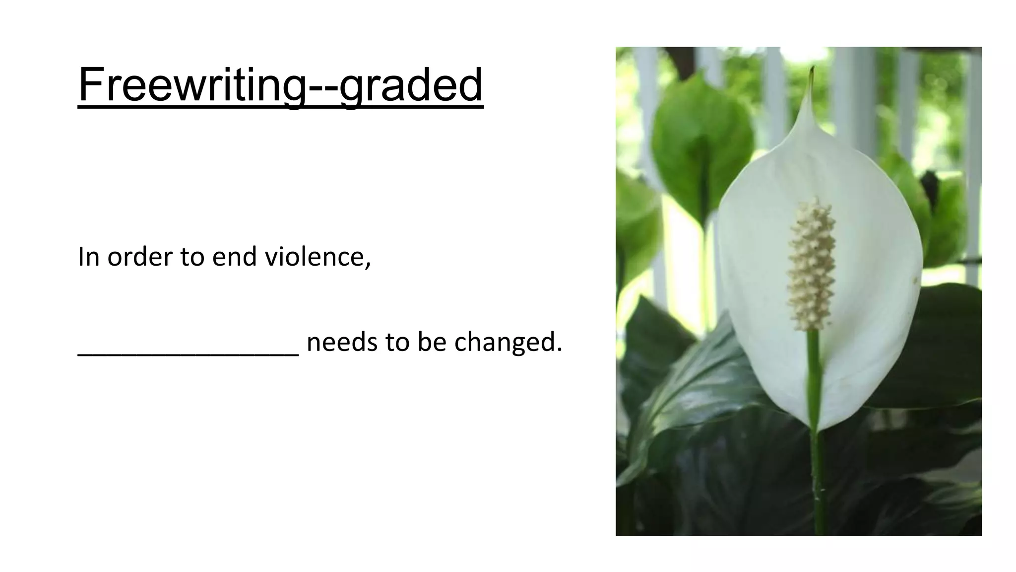 Freewriting--graded
In order to end violence,
_______________ needs to be changed.