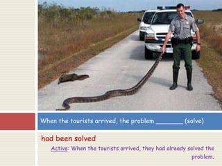 had been solved
Active: When the tourists arrived, they had already solved the
problem.
When the tourists arrived, the problem _______ (solve)
 