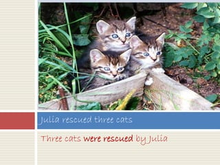 Three cats were rescued by Julia
Julia rescued three cats
 