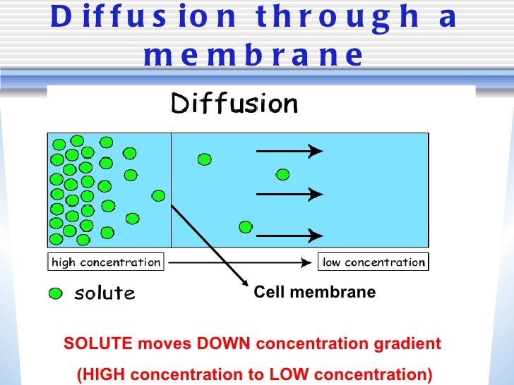Passive Diffusion