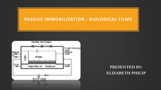 PASSIVE IMMOBILIZATION : BIOLOGICAL FILMS
PRESENTED BY:
ELIZABETH PHILIP
 