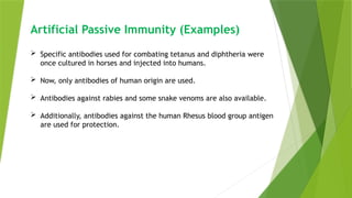 Artificial Passive Immunity (Examples)
 Specific antibodies used for combating tetanus and diphtheria were
once cultured in horses and injected into humans.
 Now, only antibodies of human origin are used.
 Antibodies against rabies and some snake venoms are also available.
 Additionally, antibodies against the human Rhesus blood group antigen
are used for protection.
 