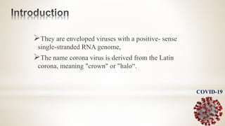 They are enveloped viruses with a positive- sense
single-stranded RNA genome,
The name corona virus is derived from the Latin
corona, meaning "crown" or "halo“.
COVID-19
 
