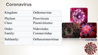 COVID-19
Kingdom: Orthornavirae
Phylum: Pisuviricota
Class: Pisoniviricetes
Order: Nidovirales
Family: Coronaviridae
Subfamily: Orthocoronavirinae
 