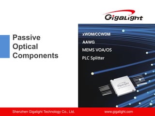 Passive
Optical
Components
Shenzhen Gigalight Technology Co., Ltd. www.gigalight.com
 