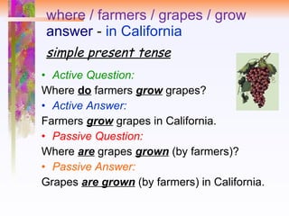where / farmers / grapes / grow answer  -  in California simple present tense Active Question:   Where  do  farmers  grow  grapes?  Active Answer:   Farmers  grow  grapes in California.  Passive Question:   Where  are   grapes  grown  (by farmers)? Passive Answer: Grapes  are grown  (by farmers) in California. 