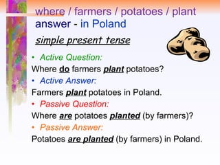 where / farmers / potatoes / plant answer  -  in Poland simple present tense Active Question:   Where  do  farmers  plant  potatoes?  Active Answer:   Farmers  plant  potatoes in Poland.  Passive Question:   Where  are   potatoes  planted  (by farmers)? Passive Answer: Potatoes  are planted  (by farmers) in Poland. 