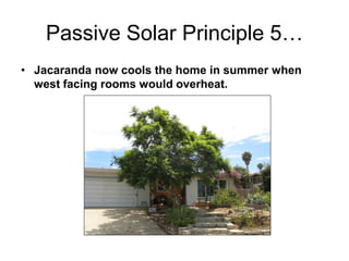 Passive Solar Principle 5…
• Jacaranda now cools the home in summer when
  west facing rooms would overheat.
 