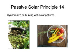 Passive Solar Principle 14
• Synchronize daily living with solar patterns.
 