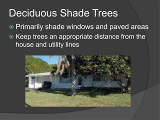 Install window overhangs and awningsDeciduous Shade TreesPrimarily shade windows and paved areasKeep trees an appropriate distance from the house and utility lines