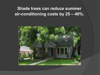 Shade trees can reduce summer air-conditioning costs by 25 – 40%.