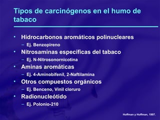 Tipos de carcinógenos en el humo de tabaco Hidrocarbonos aromáticos polinucleares Ej. Benzopireno Nitrosaminas específicas del tabaco Ej. N-Nitrosonornicotina Aminas aromáticas Ej. 4-Aminobifenil, 2-Naftilamina Otros compuestos orgánicos Ej. Benceno, Vinil cloruro Radionucleótido Ej. Polonio-210 Hoffman y Hoffman, 1997. 