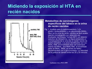 Metabolitos de carcinógenos específicos del tabaco en la orina de recién nacidos Fig. 1. Análisis para 4-metilnitrosamino)- 1-(3-piridil)-1-butanol(NNAL) y su glucuronida (NNAL-Gluc) en la orina de recién nacidos se llevó acabo usando cromatografía con detección por Analisador de Energía Termal (AET), un detector selectivo de nitrosamina. La figura preseneta un cromatograma de la orina de un recién nacido de madre fumadora. Los picos identificados son  iso -NNAL-TMS, el trimethilsilil ether del estándard interno  iso -NNAL, and NNALTMS, el trimethilsilil ether de NNAL. NNAL se emitió de NNAL-Glucbihidrolisis con  b -glucuronidasa. La velocidad de la gráfica se cambió entre los 20 y 25 minutos. Midiendo la exposición al HTA en recién nacidos Lackman et al., JNCI 1999 