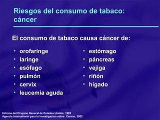 Riesgos del consumo de tabaco: cáncer orofaringe laringe esófago pulmón cervix leucemia aguda estómago páncreas vejiga riñón hígado Informe  del Cirujano General de Estados Unidos, 1982  Agencia International para la Investigación sobre  Cancer, 2002 El consumo de tabaco causa cáncer de: 