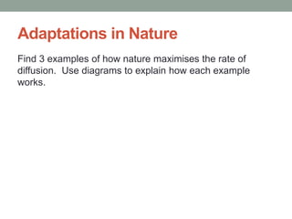 Adaptations in Nature
Find 3 examples of how nature maximises the rate of
diffusion. Use diagrams to explain how each example
works.
 