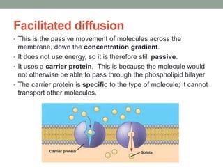 Facilitated diffusion
• This is the passive movement of molecules across the
membrane, down the concentration gradient.
• It does not use energy, so it is therefore still passive.
• It uses a carrier protein. This is because the molecule would
not otherwise be able to pass through the phospholipid bilayer
• The carrier protein is specific to the type of molecule; it cannot
transport other molecules.
 