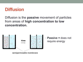 Diffusion
• Passive = does not
require energy
Diffusion is the passive movement of particles
from areas of high concentration to low
concentration.
 