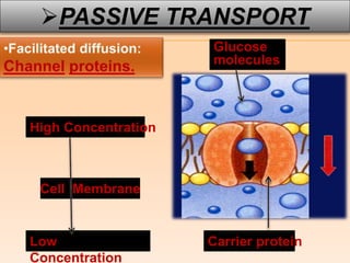 PASSIVE TRANSPORT ACROSS MEMBRANES.pptx