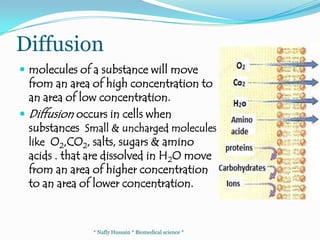 Facilitated Diffusion* Nafly Hussain * Biomedical science *