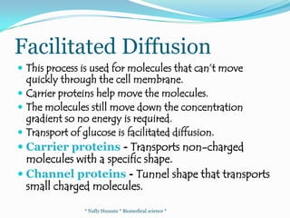 Hypotonic -concentration of solutes outside the cell is lower than the concentration inside. Water will move into the cell to create equilibrium.