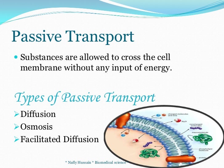 Passive transport
