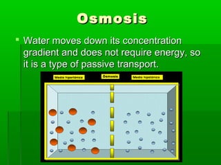 OsmosisOsmosis
 Water moves down its concentrationWater moves down its concentration
gradient and does not require energy, sogradient and does not require energy, so
it is a type of passive transport.it is a type of passive transport.
 