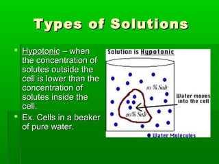 Types of SolutionsTypes of Solutions
 HypotonicHypotonic – when– when
the concentration ofthe concentration of
solutes outside thesolutes outside the
cell is lower than thecell is lower than the
concentration ofconcentration of
solutes inside thesolutes inside the
cell.cell.
 Ex. Cells in a beakerEx. Cells in a beaker
of pure water.of pure water.
 
