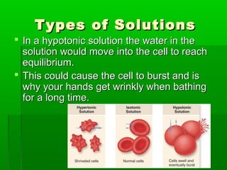 Types of SolutionsTypes of Solutions
 In a hypotonic solution the water in theIn a hypotonic solution the water in the
solution would move into the cell to reachsolution would move into the cell to reach
equilibrium.equilibrium.
 This could cause the cell to burst and isThis could cause the cell to burst and is
why your hands get wrinkly when bathingwhy your hands get wrinkly when bathing
for a long time.for a long time.
 