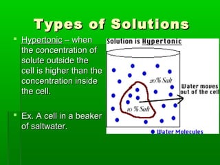 Types of SolutionsTypes of Solutions
 HypertonicHypertonic – when– when
the concentration ofthe concentration of
solute outside thesolute outside the
cell is higher than thecell is higher than the
concentration insideconcentration inside
the cell.the cell.
 Ex. A cell in a beakerEx. A cell in a beaker
of saltwater.of saltwater.
 