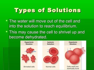 Types of SolutionsTypes of Solutions
 The water will move out of the cell andThe water will move out of the cell and
into the solution to reach equilibrium.into the solution to reach equilibrium.
 This may cause the cell to shrivel up andThis may cause the cell to shrivel up and
become dehydrated.become dehydrated.
 