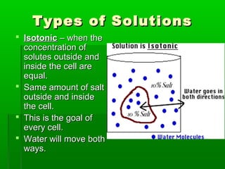 Types of SolutionsTypes of Solutions
 IsotonicIsotonic – when the– when the
concentration ofconcentration of
solutes outside andsolutes outside and
inside the cell areinside the cell are
equal.equal.
 Same amount of saltSame amount of salt
outside and insideoutside and inside
the cell.the cell.
 This is the goal ofThis is the goal of
every cell.every cell.
 Water will move bothWater will move both
ways.ways.
 
