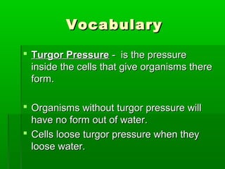 VocabularyVocabulary
 Turgor PressureTurgor Pressure - is the pressure- is the pressure
inside the cells that give organisms thereinside the cells that give organisms there
form.form.
 Organisms without turgor pressure willOrganisms without turgor pressure will
have no form out of water.have no form out of water.
 Cells loose turgor pressure when theyCells loose turgor pressure when they
loose water.loose water.
 