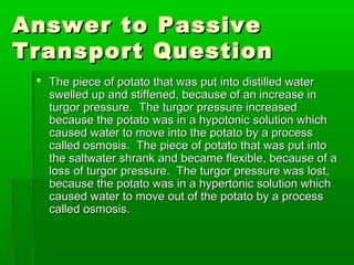 Answer to PassiveAnswer to Passive
Transport QuestionTransport Question
 The piece of potato that was put into distilled waterThe piece of potato that was put into distilled water
swelled up and stiffened, because of an increase inswelled up and stiffened, because of an increase in
turgor pressure. The turgor pressure increasedturgor pressure. The turgor pressure increased
because the potato was in a hypotonic solution whichbecause the potato was in a hypotonic solution which
caused water to move into the potato by a processcaused water to move into the potato by a process
called osmosis. The piece of potato that was put intocalled osmosis. The piece of potato that was put into
the saltwater shrank and became flexible, because of athe saltwater shrank and became flexible, because of a
loss of turgor pressure. The turgor pressure was lost,loss of turgor pressure. The turgor pressure was lost,
because the potato was in a hypertonic solution whichbecause the potato was in a hypertonic solution which
caused water to move out of the potato by a processcaused water to move out of the potato by a process
called osmosis.called osmosis.
 