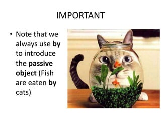 IMPORTANTNote that we always use by to introduce the passive object (Fish are eaten by cats)