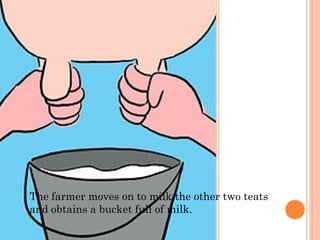 The farmer moves on to milk the other two teats
and obtains a bucket full of milk.

 
