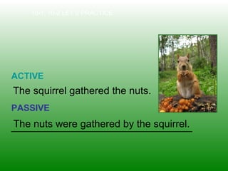 The nuts were gathered by the squirrel.
10-1, 10-2 LET’S PRACTICE
ACTIVE
PASSIVE
The squirrel gathered the nuts.
 