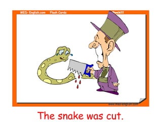 The snake was cut.
 