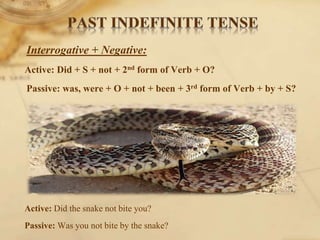 Interrogative + Negative:
Active: Did + S + not + 2nd form of Verb + O?
Passive: was, were + O + not + been + 3rd form of Verb + by + S?
Active: Did the snake not bite you?
Passive: Was you not bite by the snake?
 