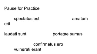 Pause for Practice
spectatus est amatum
erit
laudati sunt portatae sumus
confirmatus ero
vulnerati erant
 