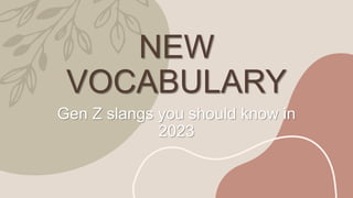 NEW
VOCABULARY
Gen Z slangs you should know in
2023
 