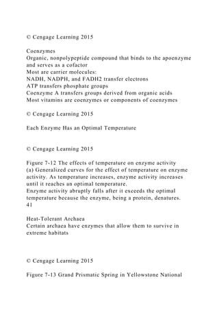 © Cengage Learning 2015
Coenzymes
Organic, nonpolypeptide compound that binds to the apoenzyme
and serves as a cofactor
Most are carrier molecules:
NADH, NADPH, and FADH2 transfer electrons
ATP transfers phosphate groups
Coenzyme A transfers groups derived from organic acids
Most vitamins are coenzymes or components of coenzymes
© Cengage Learning 2015
Each Enzyme Has an Optimal Temperature
© Cengage Learning 2015
Figure 7-12 The effects of temperature on enzyme activity
(a) Generalized curves for the effect of temperature on enzyme
activity. As temperature increases, enzyme activity increases
until it reaches an optimal temperature.
Enzyme activity abruptly falls after it exceeds the optimal
temperature because the enzyme, being a protein, denatures.
41
Heat-Tolerant Archaea
Certain archaea have enzymes that allow them to survive in
extreme habitats
© Cengage Learning 2015
Figure 7-13 Grand Prismatic Spring in Yellowstone National
 
