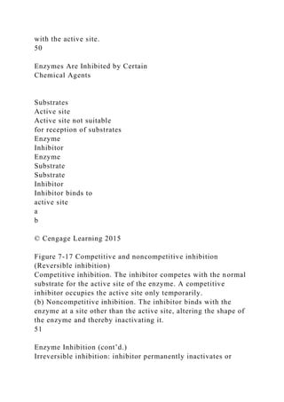 with the active site.
50
Enzymes Are Inhibited by Certain
Chemical Agents
Substrates
Active site
Active site not suitable
for reception of substrates
Enzyme
Inhibitor
Enzyme
Substrate
Substrate
Inhibitor
Inhibitor binds to
active site
a
b
© Cengage Learning 2015
Figure 7-17 Competitive and noncompetitive inhibition
(Reversible inhibition)
Competitive inhibition. The inhibitor competes with the normal
substrate for the active site of the enzyme. A competitive
inhibitor occupies the active site only temporarily.
(b) Noncompetitive inhibition. The inhibitor binds with the
enzyme at a site other than the active site, altering the shape of
the enzyme and thereby inactivating it.
51
Enzyme Inhibition (cont’d.)
Irreversible inhibition: inhibitor permanently inactivates or
 