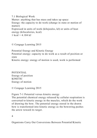 7.1 Biological Work
Matter: anything that has mass and takes up space
Energy: the capacity to do work (change in state or motion of
matter)
Expressed in units of work (kilojoules, kJ) or units of heat
energy (kilocalories, kcal)
1 kcal = 4.184 kJ
© Cengage Learning 2015
Potential Energy and Kinetic Energy
Potential energy: capacity to do work as a result of position or
state
Kinetic energy: energy of motion is used, work is performed
POTENTIAL
Energy of position
KINETIC
Energy of motion
© Cengage Learning 2015
Figure 7-1 Potential versus kinetic energy
The potential chemical energy released by cellular respiration is
converted to kinetic energy in the muscles, which do the work
of drawing the bow. The potential energy stored in the drawn
bow is transformed into kinetic energy as the bowstring pushes
the arrow toward its target.
4
Organisms Carry Out Conversions Between Potential/Kinetic
 