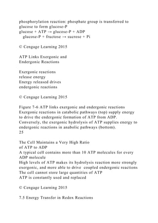 phosphorylation reaction: phosphate group is transferred to
glucose to form glucose-P
glucose + ATP → glucose-P + ADP
glucose-P + fructose → sucrose + Pi
© Cengage Learning 2015
ATP Links Exergonic and
Endergonic Reactions
Exergonic reactions
release energy
Energy released drives
endergonic reactions
© Cengage Learning 2015
Figure 7-6 ATP links exergonic and endergonic reactions
Exergonic reactions in catabolic pathways (top) supply energy
to drive the endergonic formation of ATP from ADP.
Conversely, the exergonic hydrolysis of ATP supplies energy to
endergonic reactions in anabolic pathways (bottom).
25
The Cell Maintains a Very High Ratio
of ATP to ADP
A typical cell contains more than 10 ATP molecules for every
ADP molecule
High levels of ATP makes its hydrolysis reaction more strongly
exergonic, and more able to drive coupled endergonic reactions
The cell cannot store large quantities of ATP
ATP is constantly used and replaced
© Cengage Learning 2015
7.5 Energy Transfer in Redox Reactions
 