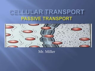 Cellular TransportPassive Transport Mr. Miller 