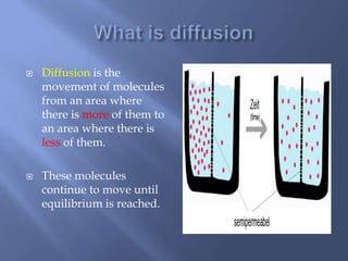    Diffusion is the
    movement of molecules
    from an area where
    there is more of them to
    an area where there is
    less of them.

   These molecules
    continue to move until
    equilibrium is reached.
 