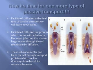    Facilitated diffusion is the final
    type of passive transport we
    will learn about today.

   Facilitated diffusion is a process
    which occurs with substances
    like sugar (glucose) that are too
    large to pass through the cell
    membrane by diffusion.

   These substances enter and
    leave the cell through transport
    proteins which are like
    doorways into the cell for
    certain substances.
 